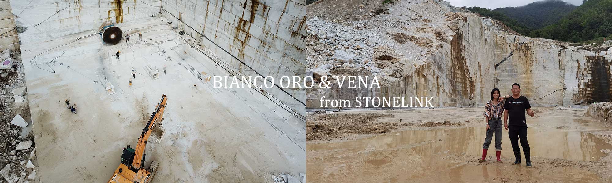 Bianco oro & vena quarry